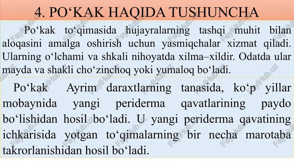 qoplovchi to'qimalar - Page 5
