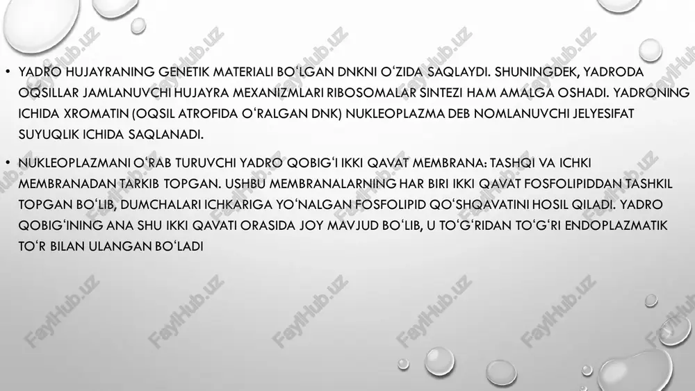 topgan. yadrocha yadrocha, nukleola — koʻpchilik eukariotlar hujayra yadrosi ichidagi tigʻiz tanacha. ribosomolar hosil qiluvchi ribonukleoproteidlar (rnk)dan iborat. odatda, yadroda bitta, baʼzan bir necha ya. (mas, baliqlarning oʻsayotgan tuxumhujayralari yadrolarida) boʻladi. ya. xromosomalarning ribosom r-nk kodlaydigan genlari joylashgan lokusida shakllanadi. ya. yadrocha ichi xromatini, r-nk fibrillari va granulalar zonalaridan iborat. granulalar zonasi ribosomalarning katta va kichik subbirliklarini hosil qiladigan rrnk molekulalariga ega. preribosomal (ribosomalar hosil qiluvchi) fanulalar ya.dan ajralib, sitoplazmaga chiqadi; sitoplazmada ulardan ribosomalar shakllanadi. ya.ning fibrillalar zonasiga yorugʻlik mikroskopda amorf qism, granulyar zonaga — nukleolonema (toʻrsimon geterogen qism) sifatida qaraladi. mitozda koʻpincha ya. yemirilib, mitoz tamom boʻlishi bilan yana shakllanadi. • yadrocha yadrocha – xromosomaning rrnk sintez qiladigan qismi. hujayra yadrosi ichida joylashgan va hujayra qobig’i (membranaga) ega emas. yorug’lik va elektron mikroskop ostida yaxshi ko’rinadi. yadrocha (nukleous, plasmosome) – eukariot hujayralarning interfaza yadrosida namoyon bo’ladigan, xromosamalarning ma’lum lokusida shakllanadigan zich birikma. bir hujayrada odatda 1-2 ta yadrocha bo’ladi, …