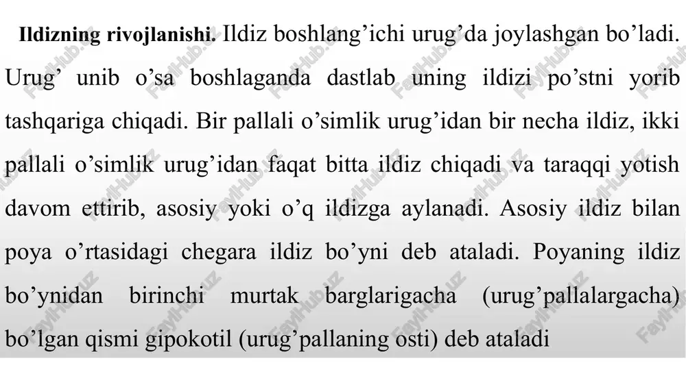 ildizva uning vazifasi, tiplari va tuzilishi - Page 5