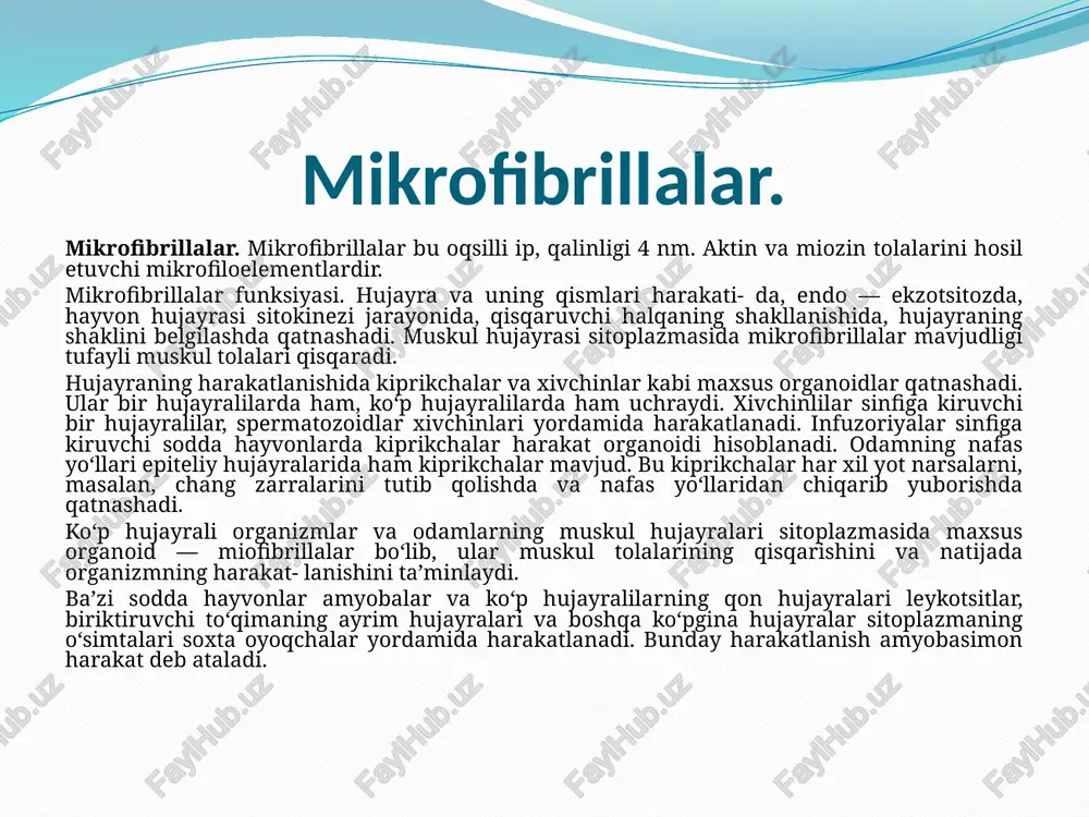q e'tiboringiz uchun rahmat! image2.jpeg image3.jpeg image4.jpeg /docprops/thumbnail.jpeg