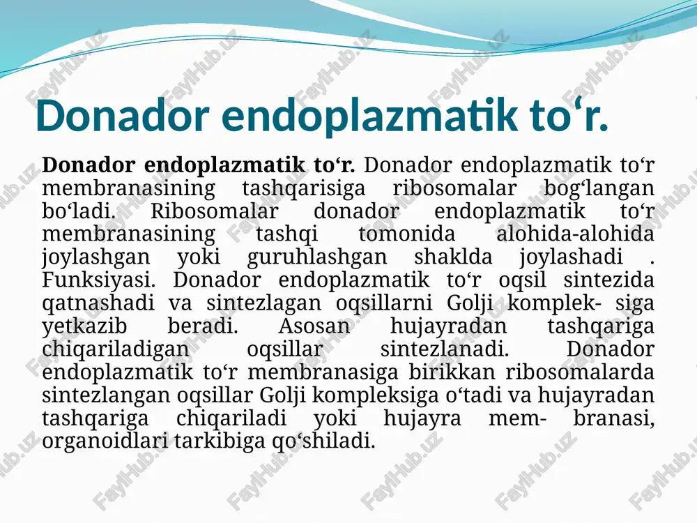 endoplazmatik to‘r - Page 5