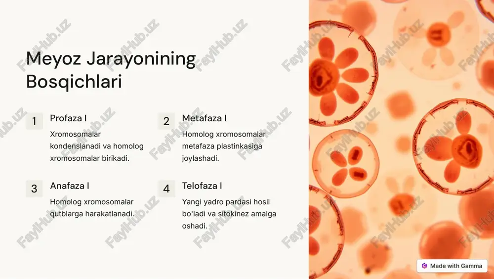 eukariot hujayralar va ularning ko'payishi - Page 5