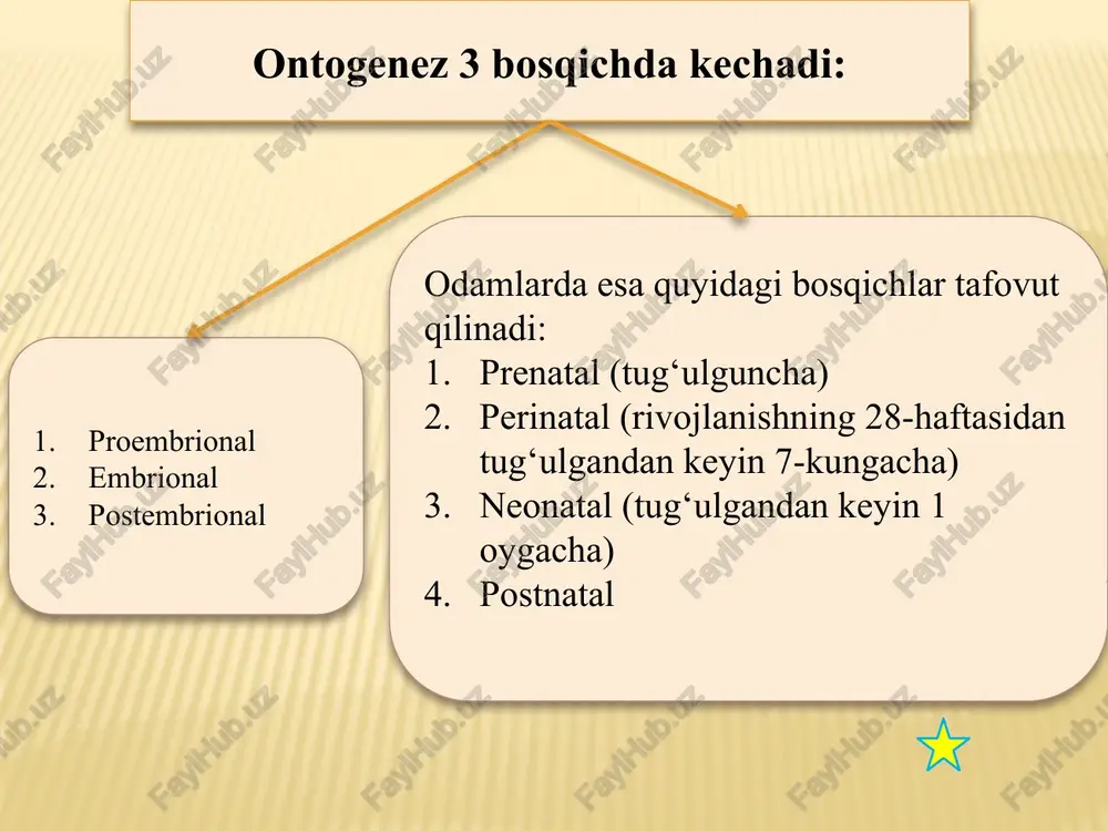 vchi to’qimasini hosil qiluvchi) splanxnotom (selom epiteliysi, silliq mushak, biriktiruvchi to’qima hosil qiluvchi);; nefrognotom (siydik—tanosil a’zolarini hosil qiluvchi); differensiyatsiyalanishga har xil nuqtai—nazardan qarasa bo’ladi. biokimyoviy differensiyatsiyaga hujayra o’ziga bir yoki bir necha maxsuslashgan sintez yo’nalishini tanlaydi(mioglobin, gemoglobin va boshqalar ), funksiyanal differensiyatsiyalanishda – muskul hujayralari qisqaruvchanlik , nerv hujayralari—nerv impulslarini o’tkazish xususiyatiga ega bo`ladi; morfologik differensiyatsiyalanishda esa hujayralar maxsus tuzilish va shaklga ega bo’ladilar. embrional rivojlanishning qaltis davrlari: implantatsiya (6-7 homiladorlikning kuni) plasentatsya (homiladorlikning ikkinchi haftaning oxiri) tug’lish jarayoni . embrional rivojlanishning buzilishi. embriogenezning buzilishi mexanizmlarini va profilaktikasini o’rganadigan fan – teratologiya deyiladi. teratogen omillarga: kimyoviy - xinin, alkagol, kofein, dori preparatlari (talitomid, garmonlar), biologik- toksoplazma, viruslar va fizik - ionlashgan nurlanish kiradi. embriogenezning buzilishi hisobiga rivojlanish nuqsonlarining ya’ni organ yoki organizm tuzilishidagi turg’un o’zgarish hisobiga bo’ladigan funksional o’zgarishlar kuzatiladi. butun jahon sog’liqni saqlash tashkilotoning (voz) ma’lumotlariga qaraganda rivojlanish nuqsonlari 1-2% odamlarda uchraydi. . rivojlanish nuqsonlarining quyidagi xillari uchrab turadi: …