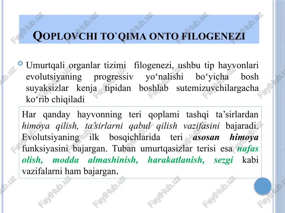 i: 1. soch anomaliyalari (atrixoz, gipertrixoz) 2. teri pigmentatsiyasining buzilishi (albinizm, melanizm) 3. teri muguzlanishining buzilishi (ixtioz, panionixiya) 4. teri o’smalari (so’gal, gemangioma, papilloma). teri anomaliyalari atrixoz (alopetsiya) — bosh sohasida batamom soch o‘smasligi. gipertrixoz - tanani, jumladan, boshning va yuzning qalin jun bilan qoplanishi albinizm — terining butun sathida yoki ayrim joylarida, sonda, ko‘z qorachig’ida melanin pigmentining bo‘lmaslik kasalligi. chegaralangan albinizm — vitilogo («pes»)kasalligi tananing peshona, og‘iz atrofida, bo‘yin, qo‘l barmoqlarida ko‘proq kuzatiladi. melanizm — terining ayrim joylarida (yuzda, kaftda, tizza bo‘g‘imida) pigmentatsiyaning kuchayishi. ixtioz — terining muguzli epiteliy qavatining qalinlashuvi, terining turli xil tangachalar bilan qoplanishi. tug‘ma paxionixiya - tirnoq plastinkalarining haddan tashqari qalinlashuvi, dag‘allashuvi va tirnoqda bo‘ylama chiziqlarni paydo bo‘lishi. teri o‘smalari — nevus (xol) — terining ayrim joylarida qoramtir dog‘lar paydobo‘lishi. gemangioma — qon tomirlardan iborat, teridan ancha ko‘tarilib turuvchi rangli dog‘lar paydo bo‘lishi. e'tiboringiz uchun tashakkur!!! ☆☆☆ image2.png image3.png image4.png image5.png image6.png image7.png image8.png image9.png …