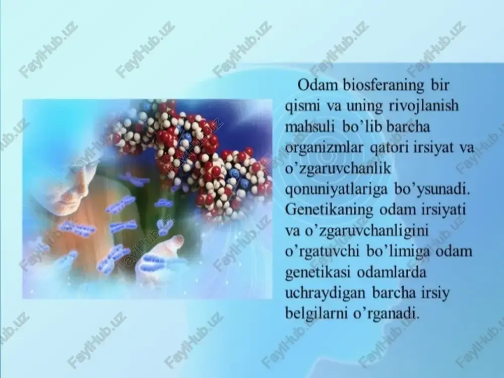 da irsiy kasallik­lar mutatsiyalardan iborat bo'lib, ularning ko'pchiligi resessivdir. bu usul odam xromosomalar to'plamidagi ko'rinadigan darajadagi o'zgarishlarni o'rganish imkomni yaratdi. xromosoma mutatsiyalarining shunday bir toifasi borki, ular xromo­somalar soni yoki tuzilishining ko'rinarli o'zgarishlari bilan ifodalanadi. odamda bunday mutatsiyalar sitogenetik usul bilan aniqlanadi. allel genlar dominant va resessiv hollarda bo'ladi. tola va to'la bo'lmagan dominantlik farq qilinadi. genlarning komplementar ta'siri turli allelga mansub genlar ba'zi belgilarning rivojlanishiga bir muncha mustaqil ta'sir etishi bilan birga, ko'pincha turli shaklda o'zaro ta'sir ko'rsatadi. natijada organizmda biron belgining rivoj-lanishi bir necha gen nazorati ostida bo'ladi. misol uchun tovuqning toji har xil zotlarida turli shaklda bo'ladi. bu narsa ikki juft genning o'zaro ta'siri natijasi-da genlarning alohida kombinatsiyasi tufayli tojlar to'rt xil variantda namoyon bo'ladi, ya'ni oddiy (aabb), no'xatsimon (aabb yoki aabb), yong'oqsimon (aabb yoki aabb), gulsimon toj (aabb, aabb)lar (64-rasm). allel bo'lmagan genlar o'zaro, asosan komplementar, epistaz, polimer ta'sir qiladi. genotipda allel bo'lmagan genlarning o'zaro ta'siri …