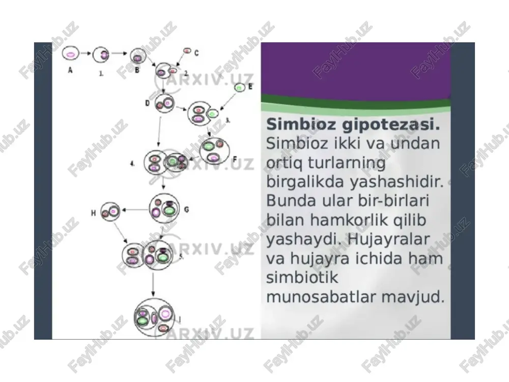 prokariot va eukariot hujayralarning umumiy tuzilishi - Page 5