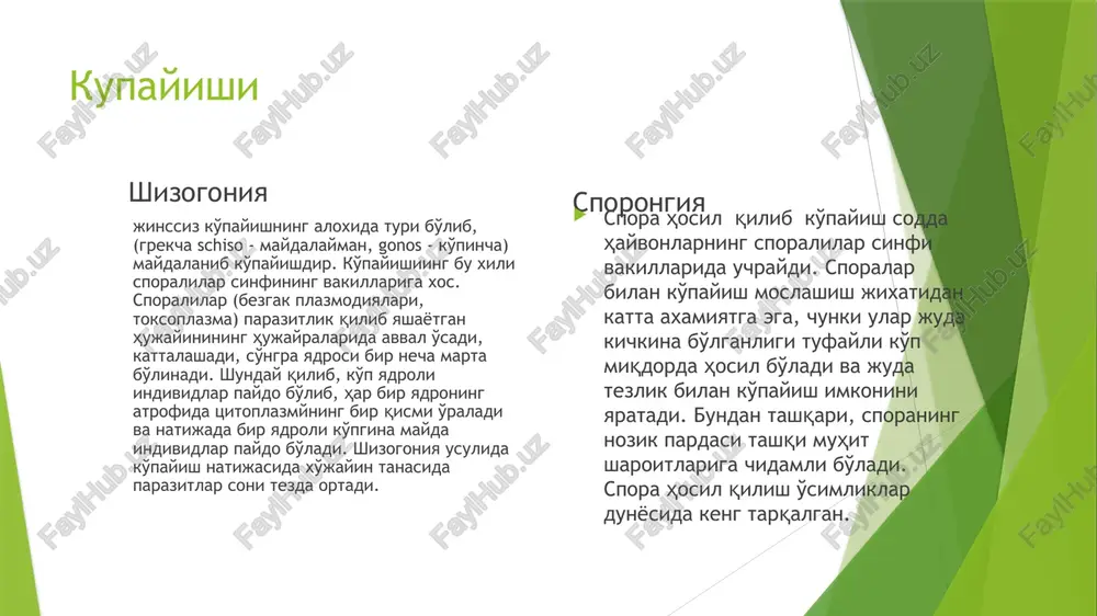 . kasallik manbalari hindiston, sharqiy xitoy va o'rta er dengizi sohillarida mavjud bo'ladi. morfologik tuzilishi leyshmaniyalar mayda parazitlar bo'lib, kattaligi 2 - 4 mkm gaa boradi. tanasi dumaloq yoki oval shaklda bo'lib,peli- kulla bilan qoplangan. romanovskiy-gimza usuli bilan bo'yalganda tanasida yadro va yadro rangiga bo'yalgan tanacha-blefaroplast aniqlanadi. xivchin o'sib chiqqan tanacha bazaltanacha deyiladi. uning hazm organoidlari bo'lmay, osmotik yo'l bilan oziqlanadi. hamma xivchinlarga xos holda uzunasiga bo'linib ko'payadi. morfologik jihatdan leyshmaniyalar ham ikki xil shaklda: hujayra ichida - xivchinsiz (rasm) tashuvchilarning tanasida, hamda sun'iy usulda o'stirilganda - xivchinli ko'rinishda yashaydi. leyshmaniyalar hayotining xivchinli davri leptomonad davr deb ataladi. vistseral leyshmanioz tez-tez yoki ma'lum bir vaqt oralab isitma chiqarish bilan davom etadigan og'ir kasallik hisoblanadi. morfalogik jihatdan leyshmaniyaning ikkala turi ham bir-biridan deyarli farq qilmaydi. vistseral leyshmaniozning chaqiruvchisi odam tanasida retikulo-endotelial organlar - jigar, taloq, limfa tugunlari, ko'mik endoteliy hujayralari tsitoplazmasida parazitlik qilib yashaydi, ko'payadi. kasallikni oldini olish usullari : a) …