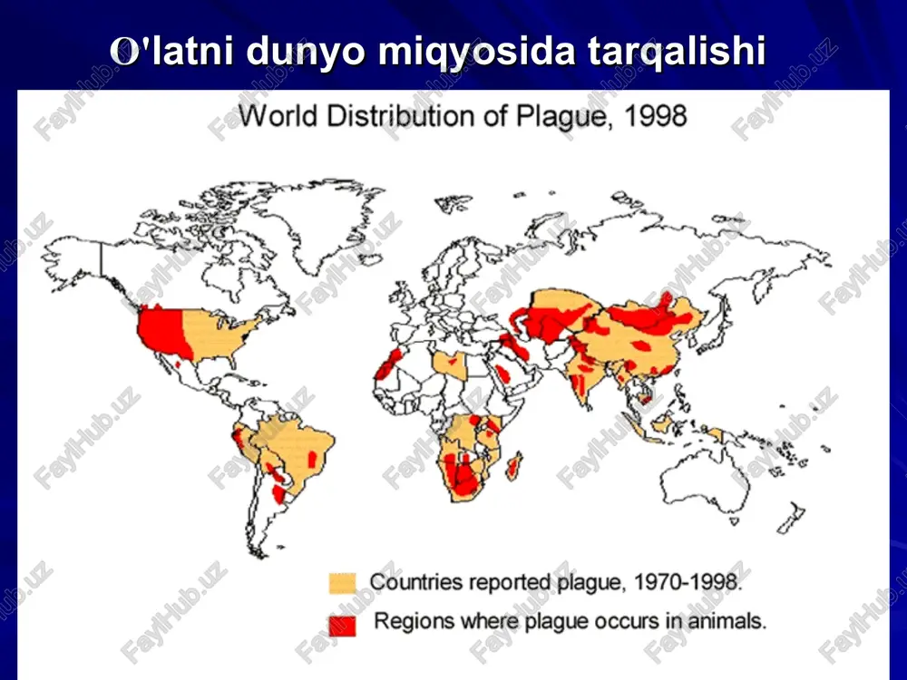 mos keladi yuqish yo'li klinik shakli transmissiv bubon yoki teri-bubon shakli havo-tomchi o'pka shakli alimentar faringeal (anginoz) yoki ichak shakli kontakt-maishiy bubon yoki teri-bubon shakli teri birlamchi - septik ikkilamchi - septik birlamchi - o'pka ikkilamchi - o'pka ichak o'lat kasalligini tasnifi o'latning klinik manzarasi bubon shakli bubon – kattalashgan limfa tuguni. u yakka holda kattalashgan, qattiq, keskin og'riqli, harakatsiz, ustidagi teri qizargan va mahalliy harorat ko'tarilgan bo'ladi. bubonlar bo'yinda, qo'ltiq ostida, chov sohasida bo'lishi mumkin. bubon shakli * zdes privedeni klassicheskie primeri bubonov pri bubonnoy chume. vozbuditel popadaya v regionalnie limfouzli vizivaet razvitie boleznennix limfadenita i periadenita (bubona), okrujennix otekom. bubon shakli * primeri sheynix bubonov. pervichniy kojniy affekt v meste «vxodnix vorot» infeksii (ukus bloxi) razvivaetsya ne vsegda . bubon shakli o'latning klinik manzarasi yarali shakli. bunda terida birlamchi affekt – papula, pustula(yiringli yo gemorragik) yoki yara (chuqur, yiring-qon aralash ajralmali, tubida shish bor, atrofidagi teri qizargan) hosil …