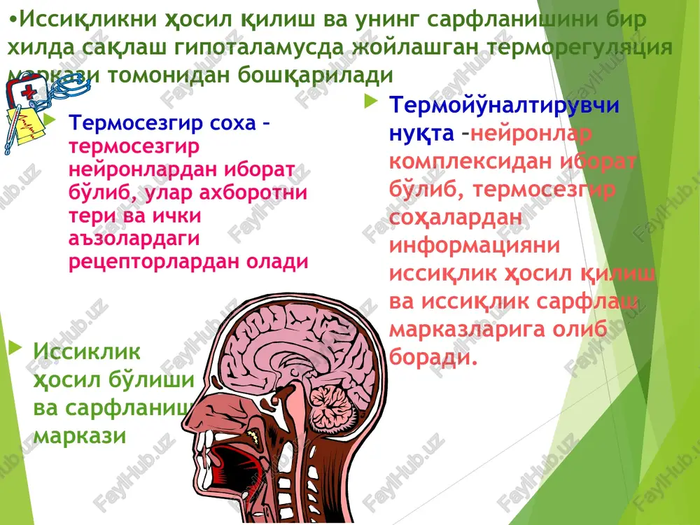 zion gipertermiya qon va qonni o'rnini bosuvchi suyuqliklar, suv va havoni pirogen saprofitlar tomonidan ifloslanishi sababli paydo bo'ladi, yoki ularning termostabil parchalanish mahsulotlari tomonidan paydo bo'ladi va metabolik gipertermiya rivojlanadi. tana harorati 39-40o s gacha ko'tariladi, mushaklar va bo'g'imlarda og'riq, ko'ngil aynishi paydo bo'ladi. ko'p hollarda urtikar toshmalar, teri qichishi, periorbikulyar shish, keskin bezovtalik, ba'zida talvasalar paydo bo'ladi. bolalarda isitma bilan birgalikda keluvchi asosiy simptomlar isitma + toshma - skarlatina,qizilcha, meningokoktsemiya, gemorragik vaskulit allergik toshmalar, suvchechak isitma + nafas yo'llari katari: o'rvi, rinit, faringit, quloq infektsiyasi bolalarda isitma bilan birgalikda keluvchi asosiy simptomlar isitma + o'tkir tonzillit (angina): virusli tonzillit, infektsion mononukleoz, streptokokkli tonzillit yoki skarlatina. isitma + nafas qiyinligi: laringit, krup. bronxiolit, obstruktiv bronxit, bronxial astma + o'rvi, og'ir asoratli pnevmoniya bolalarda isitma bilan birgalikda keluvchi asosiy simptomlar isitma + miya simptomatikasi febril talvasalar (talvasa sindromi), meningit, entsefalit isitma + diareya: rotaviruslar, enteroviruslar, ichak infektsiyasi, pnevmoniya+ ichak parezi bolalarda …