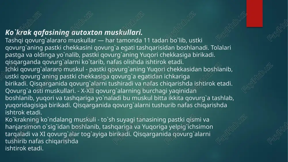 gavda muskullari ko'krak vaorqa - Page 5