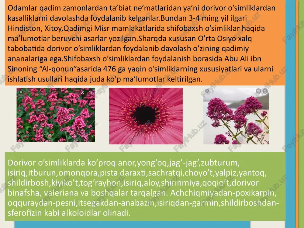 olashda ishlatiladi.ishtaha ochuvchi va o’t haydovchi yig’malar tarkibiga ham kiradi. achchiq shuvoq. achchiq shuvoq. xulosa. o’zbekistondagi foydali o’simliklarni o’rganish jarayonida men, yurtimiz naqadar jannatmakon va dorivor o’simliklarga boy ekanligiga yana bir bor amin bo’ldim.jannatmakon yurtimiz tog’larida, o’tloqlarida, dasht va yaylovlarida o’sib turgan mayda o’t-o’lanlardan tortib katta daraxtlargacha hammasi ahamiyatli va dorivor xususiyati bor ekanligini angladim. hozirgi kunda yurtimizda dorivor o’simliklarning soni va turi kamayib ketmasligi uchun juda ko’plab ishlar amalga oshirilmoqda. noyob va kamayib ketayotgan yoki yo’qolib ketgan turlar esa “o’zbekiston respublikasi qizil kitobiga”kiritilgan.shuning uchun biz kelajak avlod yurtimizning har bir o’simligini asrab-avaylashimiz kerak.dorivor o’simliklarni kamayib ketishiga qarshi chora-tadbirlarni o’zbekiston fa botanika bog’i tomonidan ishlab chiqilgan.bularga iqlimlashtirish va xonakilashtirib issiqxonalarda yetishtirish chora tadbirlari, farmasevtika korxonalari tomonidan plantatsiyalar tashkil etilib yetishtirish boshlab yuborilgan.dorivor o’simliklarni asrab avaylaylik va yurtimizning taraqqiyotiga oz bo’lsa ham o’z hissamizni qo’shaylik. foydalanilgan adabiyotlar. 1.s.s.saxobiddinov “o’simlik sistematikasi”toshkent-1996. 2.o’.pratov, q.jumayev, “yuksak o’simliklar sistematikasi” toshkent-2003. 3.r.sobirov “yuksak o’simliklar sistematikasi” bo’yicha …