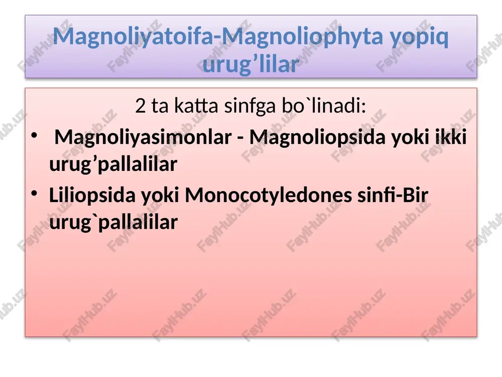 magnoliyatoifa-magnoliophytayopiqurug’lilar - Page 5