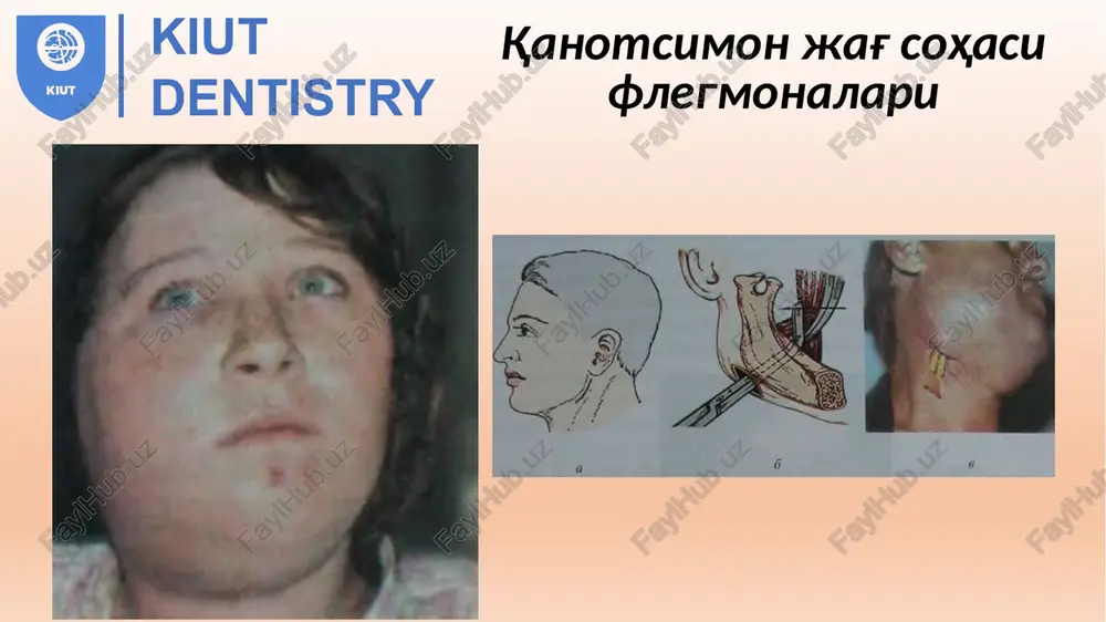 dentistry - Page 5