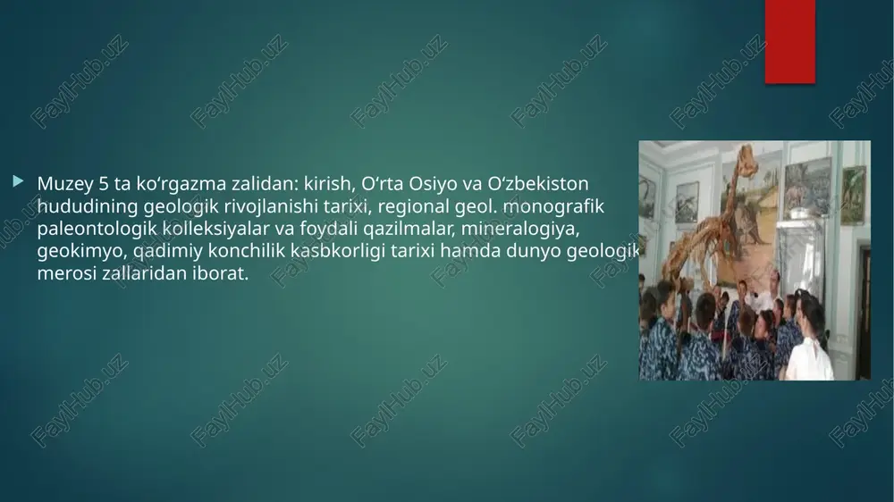 oʻzbekiston geologiya muzeyi - Page 5