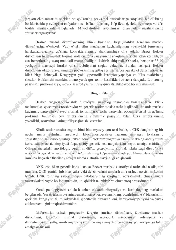 urish uchun yordamchi miopatik usullarni qo'llashga majbur bo'ladi - qo'llarini yaqin atrofdagi mebel qismlariga suyanish yoki ular bo'lmasa, o'z tanasini tayanch sifatida ishlatish (govers simptomi). boshqa irsiy miopatiyalar singari, bekker kasalligi ham mushak atrofiyasining simmetrik rivojlanishi bilan tavsiflanadi. avvalo, son va chanoq kamarining mushaklari ta'sirlanadi, keyin jarayon elka-kamar mushaklari va qo'llarning proksimal mushaklariga tarqaladi. kasallikning boshlanishida psevdogipertrofiyalar hosil bo'ladi, ular eng ko'p ikranoj, deltoid, triceps va to'rt boshli mushaklarda aniqlanadi. miyodistrofiya rivojlanishi bilan ular mushaklarning zaiflashishiga aylanadi. bekker mushak distrofiyasining klinik ko'rinishi ko'p jihatdan duchenn mushak distrofiyasiga o'xshaydi. vaqt o'tishi bilan mushaklar kuchsizligining kuchayishi bemorning harakatsizligiga va qo'shma kontrakturalarning shakllanishiga olib keladi. biroq, bekker distrofiyasi bilan mushak to'qimalarida distrofik jarayonning rivojlanishi ancha sekin kechadi, bu esa bemorlarning uzoq muddatli motor faolligini keltirib chiqaradi. o'rtacha, bemorlar 35-40 yoshgacha mustaqil harakat qilish qobiliyatini saqlab qoladilar. bundan tashqari, bekker distrofiyasi oligofreniya, umurtqa pog'onasining qattiq egriligi va boshqa skelet deformatsiyalari bilan birga kelmaydi. kengaygan …