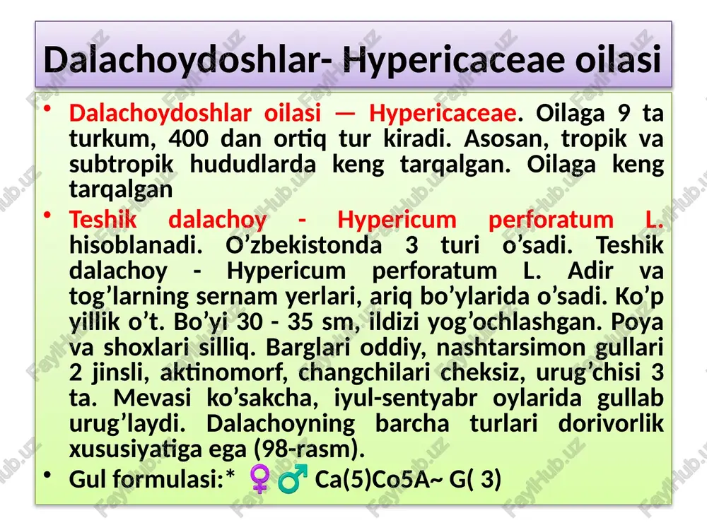 ab, kosachabarglari o’zaro qo’shilgan, 5 tishchali. erkak gullarda 5 ta changchilar uch guruh bo’lib joylashgan. urg’ochi gullardagi urug’chi 3 ta mevabargchaning qo’shilib o’sishidan hosil boladi. mevasi — cho’ziq, ko’p urug’li rezavorsimon qovoq meva. /docprops/thumbnail.jpeg