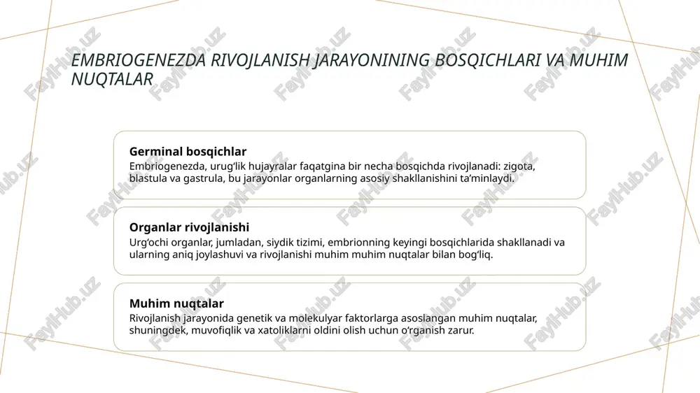 siydik ayiruv a’zolarining rivojlanish nuqsonlari - Page 5