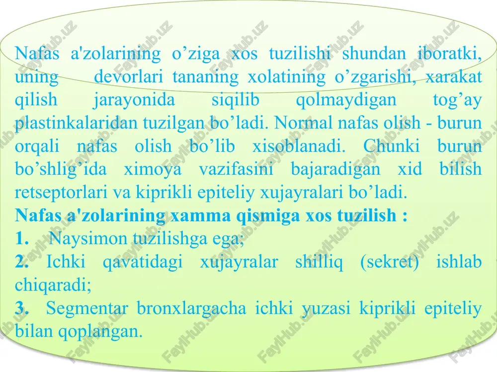 aylari unchalik rivojlanmagan. traxeya 10-12 yoshga borganda 2 baravar, 25 yoshda 3 baravar tez o'sadi. qarilarda tog'aylar qattiqlashib borgan sari tez sinuvchan bo'ladi. o'pka-bir juft bo'lib, ko'krak qafasining ikki tomonida joylashgan. o'ng va chap o'pka o'rtasidagi kenglikda yurak, qon tomirlar va ko'ks oralig'i joylashgan. har bir o'pka (pulmo) konus shaklida bo'lib, asosi past tomondan diafragmaga tegib turadi va diafragma yuzasi deyiladi. o'pkaning uchi birinchi qovurg'adan -4 sm yuqoriroqda turadi yoki orqa tomondan vii bo'yin umurtqasining ro'parasiga to'g'ri keladi. o'pkaning uchida unchalik botmagan qovurg'a egati ko'rinadi. o'pkalarning qovurg'alarga tegib turgan yuza va bir-biriga qarab turgan ko'ks oralig'idagi medial yuzasi tafovut qilinadi. bu yuzalaming biri ikkinchisidan qirralararo chegaralanadi. chap o'pka old qirrasining pastrog'ida yurak o'ymasi ko'rinadi. o'yma past tomondan o'pka tilchasi orqali chegaralanadi. o'pkalarning medial (ko'ks oralig'i) yuzasida o'pka arteriyasi, venasi va bronxlar kirib chiqadigan o'pka darvozasi joylashgan. ana shu qon va limfa tomirlari o'zani qo'shilib, o'pka ildizini hosil qiladi. o'ng o'pka …