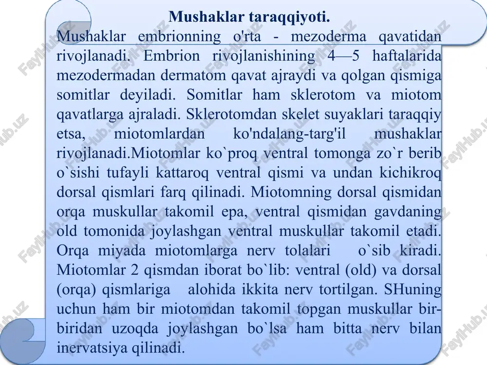 i toraytiradi. og`izning aylana muskuli ustki va pastki lablar asosini hosil qilib, tolalari yo`nalishi turlicha bo`lgan ikki qismdan iborat. lab qismi ustki va pastki lablar ichida joylashib, tolalari og`iz burchaklari sohasida o`zaro birikadi. qisqarganda og`iz yorig`ini yumadi, so`rish va chaynash jarayonlarida ishtirok etadi.og`iz burchagini tushiruvchi muskul-pastki jag` suyagining oldingi yuzasidan engak teshigining ostidan boshlanib, og`iz burchagi teshigiga birikadi. qisqarganda og`iz burchagini pastga va tashqariga tortadi. engak muskuli — pastki kurak tishlari alveolalari tepaligidan boshlanib, qisqarganda engak teshigini yuqoriga va tashqariga ko`taradi. bo'yinning oldingi tomoni bo'yin, orqa tomoni esa ensa sohasi deb ataladi. bo'yin muskullari yuza rnuskullar, til osti suyagiga birikuvchi (o'rta guruh) rnuskullar va bo'yinning chuqur muskullaridan iborat. yuza muskullar bo'yinning teri osti muskuli bevosita teri ostida joylashgan bo'lib, yupqa plastinkadan tuzilgan. bu muskul ko'krak fassiyasidan ii qovurg'a sohasida boshlanib, pastki jag' sohasida fascia masseterica va chaynov fassiyasiga yopishadi, qolgan qismi esa og‘iz muskullariga davom etadi. image1.png image2.png image3.jpeg image4.jpeg …