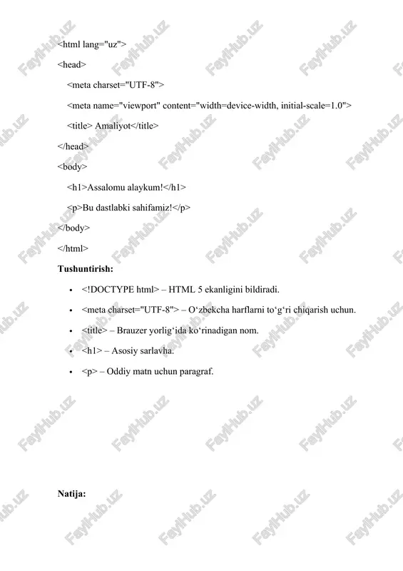 html hujjat tuzilishi - Page 5