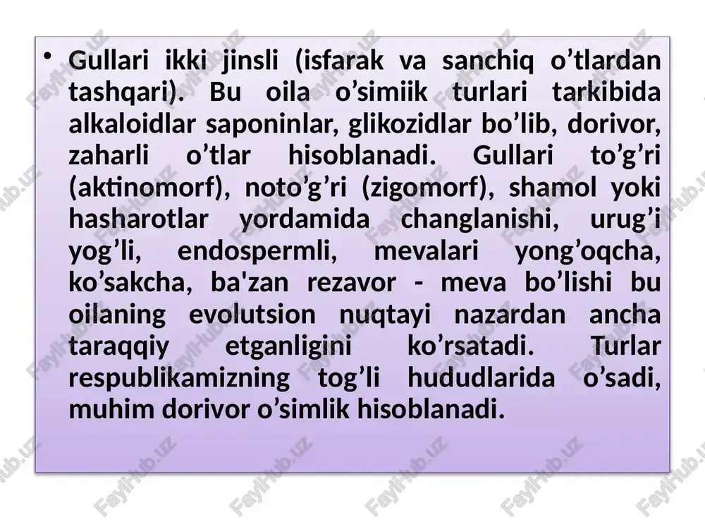 ayiqtovon (ranunculidae) - Page 5