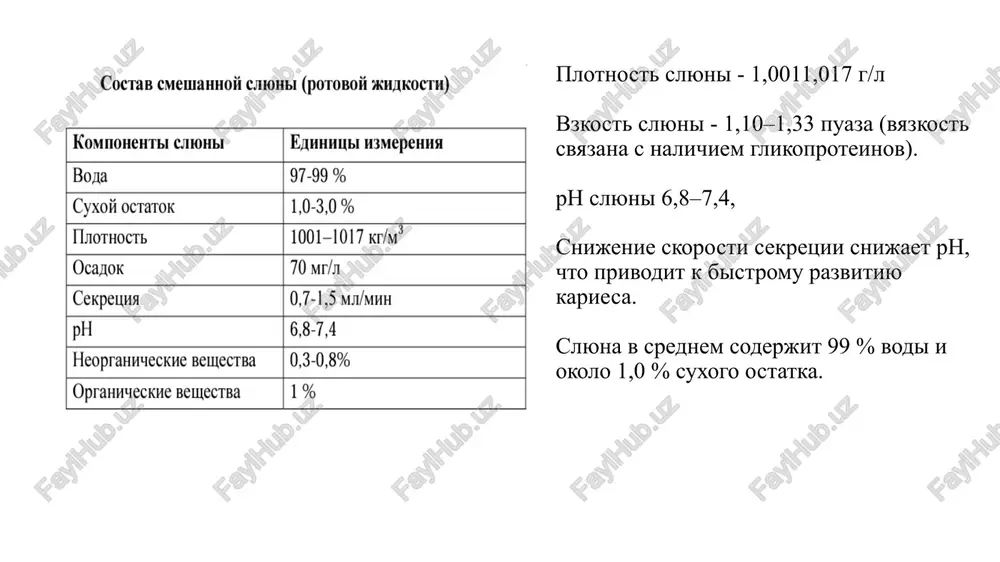 liruet aktivnost ryada fermentov – adenilattsiklazi, lipaz, esteraz, laktatdegidrogenaz i dr.); 4. usilivaet vsasivanie jeleza; organicheskie komponenti slyuni predstavleni belkami, polipeptidami, lipidami, vitaminami, gormonami, organicheskimi kislotami i azotsoderjashimi soedineniyami nebelkovoy prirodi (mochevina, ammiak, kreatin). belki rotovoy jidkosti i ix biologicheskaya rol v smeshannoy slyune opredelyaetsya bolee1000 razlichnix peptidov i belkov, iz kotorix identifitsirovano okolo 300. iz nix tolko 120−150 yavlyayutsya sekretornimi, t.e. popadayut iz bolshix i malix slyunnix jelez, a ostalnie imeyut bakterialnoe i kletochnoe (iz formennix elementov i leykotsitov) proisxojdenie. mutsini. otnosyatsya k zashitnim belkam, zashishayut poverxnost zuba ot bakterialnogo zagryazneniya i ot rastvoreniya fosfatov kaltsiya, pridayut vyazkost slyune, svyazivaya mnogo vodi (ris. 5). v polipeptidnoy tsepi mutsina iz podchelyustnoy slyunnoy jelezi soderjitsya bolshoe kolichestvo serina i treonina (okolo 200 na odnu polipeptidnuyu tsep), k ostatkam kotorix cherez o-glikozidnuyu svyaz prisoedineni ostatki n-atsetilglyukozozamina, natsetilgalaktozamina, fukozi, galaktozi i n-atsetilneyraminovoy (sialovoy) kisloti. po strukture belok napominaet grebenku: korotkie uglevodnie tsepi, kak …