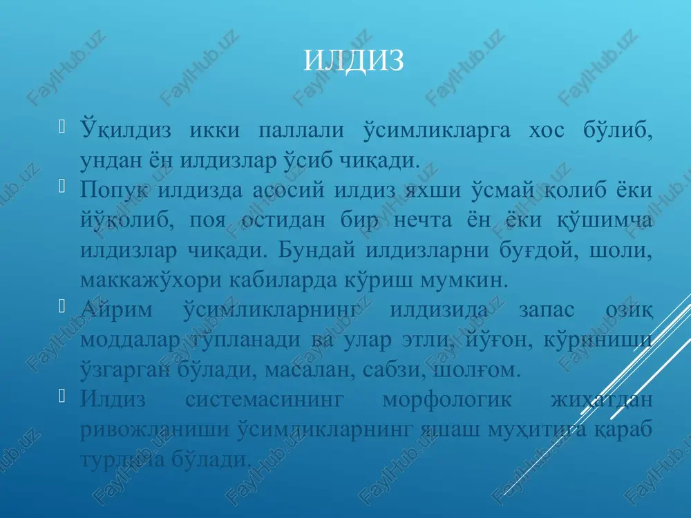 ko'riladi. ikkalasi ham tashqi to­mondan ikkilamchi qoplovchi to'qima periderma bilan qoplangan. uning ostida po'stloq parenximasi yoki flo­emasi bo'ladi. po'stloq parenximasi tarkibida suv va zaxira moddalar to'playdigan, asosiy parenxima, organik moddalarning harakatini ta'minlaydigan elaksimon naylar va uning yo'ldosh hujayralari hamda poyaga mu­stahkamlik beruvchi sklerenxima mexanik to'qima joylashgan. floe­madan so'ng, kambiy halqasi joylashgan, kambiydan keyin ichkari tomonda ikkilamchi ksilema yoki yog'ochlik joylashib, unda suv va mine­ral moddalarni yuqoriga o'tkazuvchi traxeyalar, yog'ochlik parenximasi va libriform sklerenxima mexanik to'qima bo'ladi. ildizning markazida birlamchi ksilema o'rnashgan. radial nurlar yo'g'on naylar va juda mayda yog'och parenximasidan ikkilamchi ksilema navbatlashadi. ikkilamchi ksilema chegarisida kambiy zonasi radial qatorlar shaklida joylashgan. ularning har birini qarama–qarshisida ikkilamchi ksilemaga yonma–yon holda ikkilamchi floema joylashgan. ikilamchi floemani uning mayda elaksimon naylariga qarab ikkilamchi ksilemadan engillik bilan ajratish mumkin. radial nurlarni hosil qiladigan kambiyni aniq ko'rish qiyin emas. sirt tomonida ham kambiy asosiy to'qimani hosil qiladi. oshqovoq ildizi sirtida po'kakning yupqa qatlami joylashgan. …