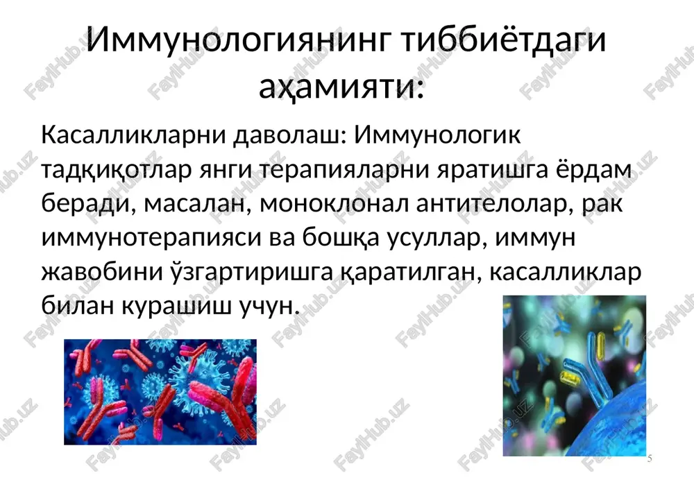 iyatlarga javob beradi. xotiraning etishmasligi: adaptiv immunitetdan farqli o'laroq, tugma immunitet patogenlarni «eslab qolmaydi"; uning reaktsiyasi takroriy aloqa bilan kuchaymaydi. 28 tug'ma immunitetning asosiy tarkibiy qismlari: to'siq funktsiyalari: teri to'sig'i: teri va shilliq pardalar patogenlar uchun jismoniy to'siq bo'lib xizmat qiladi. sekretsiya: tupurik, ko'z yoshlar, teri va boshqa sekretsiyalar mikroblarni yo'q qilishga yordam beradigan lizotsim va antikorlar (masalan, iga) kabi antimikrobial moddalarni o'z ichiga oladi. 29 tug'ma immunitetning asosiy tarkibiy qismlari: fagotsitlar: makrofaglar -hujayralar patogenlari va o'lik hujayralarni yutish va hazm qilish, shuningdek, immunitet tizimining boshqa tarkibiy qismlarini faollashtirishga qodir. neytrofillar: ular infektsiya joyiga kelib va mikroblarni samarali ravishda yo'q qiluvchi birinchi hujayralardan biri. dendritik hujayralar: ular patogenlarni aniqlashda va adaptiv immun javobni faollashtirishda muhim rol o'ynaydi. 30 tug'ma immunitetning boshqa tarkibiy qismlari: komplement: bu turli yo'llar bilan faollashtirilishi mumkin bo'lgan va patogenlarni o'ldirishga yordam beruvchi protein tizimi. tsitokinlar va ximioattraktantlar: bu molekulalar immun tizimining hujayralari tomonidan ishlab chiqiladi va …