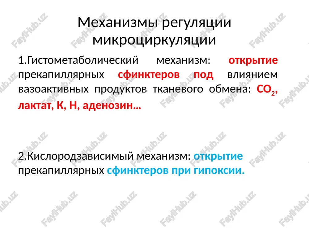 arterialnaya i venoznaya giperemii - Page 5