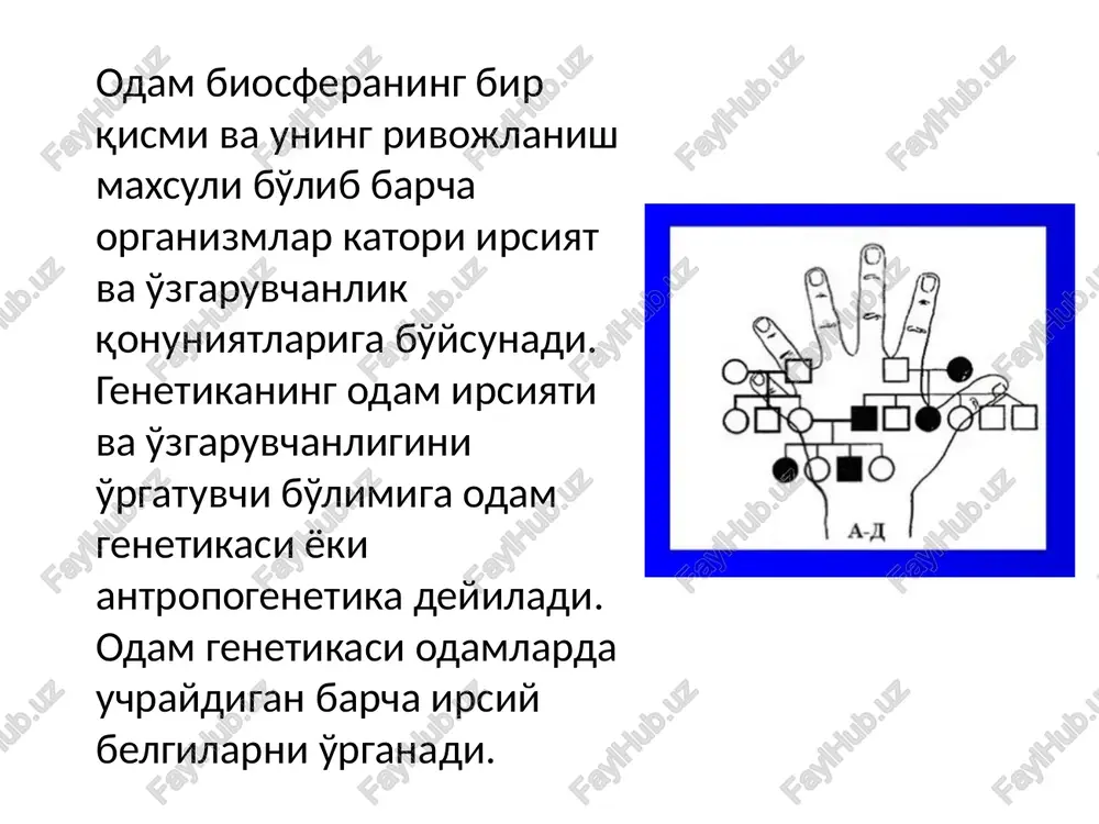 ziqchalar bo'lib, to'rt barmoqli ko'ndalang egiluvchan burma uchraydi. asosiy triradius kaftning distal tomonida bo'ladi. trisomiya 21, daun sindromi barmoq uchida chiziqchalar ilmoqchasimon bo'lib, ulnar tomonga ochilgan bo'ladi. to'rt barmoqli ko'ndalang egiluvchan egatcha bor. asosiy triradius kaftning distal tomonida joylashgan bo'lib (atd - 810), normada atd - 570 dan oshmasligi kerak.. mushuk chinqirig'i sindromi barmoq uchlarida aylanasimon va yoysimon chiziqlar ko'proq uchraydi. asosiy triradius kaftning distal tomonida. barmoq asosidagi s-triradiusi bo'lmaydi. barmoqlardagi umumiy chiziqlar soni kamaygan. klaynfelter sindromi barmoq uchlarida yoysimon chiziqlar ko'proq uchraydi. barcha barmoqlardagi teridan bo'rtib chiqqan chiziqlar soni kamaygan. asosiy triradius kaftning proksimal tomonida. shereshevskiy – terner sindromi barmoq uchlarida ilmoqsimon va aylanasimon chiziqlar ko'proq uchraydi. asosiy triradius kaftning distal qismining ulnar tomonida. barmoqlardagi teridan bo'rtib chiqqan chiziqlar soni ko'paygan. barmoq asosidagi s-triradiusi bo'lmaydi. dubinin n.p. - obshaya genetika. m., «nauka», 1976. p.x.xalikov - biologiya. toshkent,1996y. va boshkalar xalikov p.x. - biologiya. toshkent 2005 uil. va boshqalar yarigin …