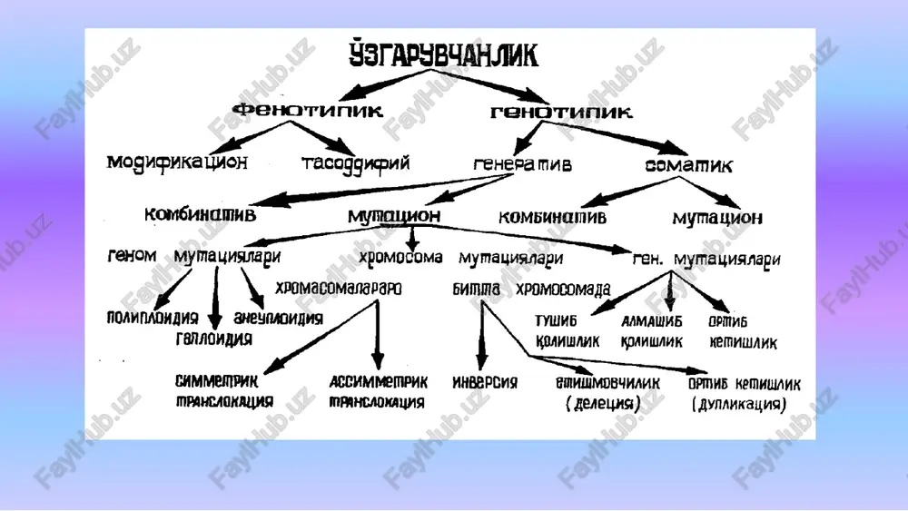 iga qarab 1.somatik mutatsiyalar 2.generativ mutatsiyalar somatik hujayralarda gen, genom, xromosoma mutatsiyalari sababli organizm genotipi mozaik bo'ladi geterozigota organizmda paydo bo'lishiga qarab: 1.dominant mutatsiyalar. 1.retsessiv mutatsiyalar. to'g'ri yo'nalgan va qaytar mutatsiyalar ham bo'ladi genlar kimyoviy strukturasidagi (saytlardagi, dnk nukleotidlari ketma -ketligidagi) bartaraf etilmagan yoki tuzatilmagan o'zgarishlarning keyingi replikatsiya tsikllarida namoyon bo'lishi va natijada avlodlarda belgilarning o'zgargan variantlarini yuzaga chiqishi gen mutatsiyalari deyiladi. gen hosil qiluvchi dnk strukturasining o'zgarishini uch guruhga bo'lish mumkin. bir azotli asosni ikkinchisi bilan almashinishi (spontan hosil bo'luvchi mutatsiyalarning 20% ini tashkil etadi). sanalish tartibini o'zgartiruvchi mutatsiya — gen tarkibidagi nukleotidlar juftini miqdorini o'zgarishi. dnk ketma ketligidagi mutatsiya , uchga karrali bo'lmagan nukleotidlar deletsiyasi yoki kiritilishi gen tarkibidagi nukleotidlar ketma ketligi tartibini o'zgarishi (inversiya). nukleotidlar qaytarilishini ekspansiyasi gen mutatsiyalarini kelib chikishiga ko'ra ikkita guruxga ajratish mumkin: bir juft azotli asoslarning boshqasi bilan almashinuvidan hosil bo'lgan mutatsiyalar. azotli asoslarning tushib yoki ortib ketishidan hosil bo'lgan mutatsiyalar. ikki xil …