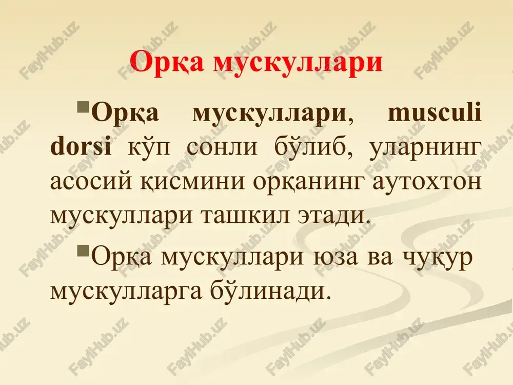 pib turadi. m.splenius capitis et cervicis, boshning va bo'yining tasmasimon muskuli pastki beshta bo'yin va oltita yuqori ko'krak umurtqalarining o'tkir o'siqlaridan boshlanib, boshning tasmasimon muskuli linea nuchae superior ga, bo'yining tasmasimon muskuli ii-iii bo'yin umurtqalarining ko'ndalang o'simtalariga yopishadi. vazifasi: muskullar bir tomoni qisqarganda boshni o'z tomoniga buradi. ikki tomonlama qisqarganda boshni orqaga tortadi va orqa tomonga yozadi. 1. boshning tasmasimon mushagi boshlanishi: vii bo`yin va yuqorigi ko’krak umurtqalarining qirrali o’simtalari. birlashuvi: chakka suyagining so’rg’ichsimon o’simtasi, ensa suyagi. vazifasi: boshni o’z tomoniga buradi, ikki tomonlama qisqarganda boshni orqaga tashlaydi 2. bo’yinning tasmasimon mushagi boshlanishi: iii-iv ko’krak umurtqalarining qirrali o’simtasi birlashuvi: yuqorigi bo’yin umurtqalarining ko’ndalang o’simtalari vazifasi: boshni o’z tomoniga buradi, ikki tomonlama qisqarganda boshni orqaga tashlaydi orqaning autoxton muskullari lateral trakti. 1.m.erector spinae, umurtqa pog'onasini to'g'rilovchi muskul, dumg'aza, bel umurtqalarining o'tkir o'siqlari, crista iliaca va fascia thoracolumbalis dan boshlanib, ensagacha davom etadi va yopishadigan nuqtalariga ko'ra uch qismga bo'linadi. a) qovurg'alarga …