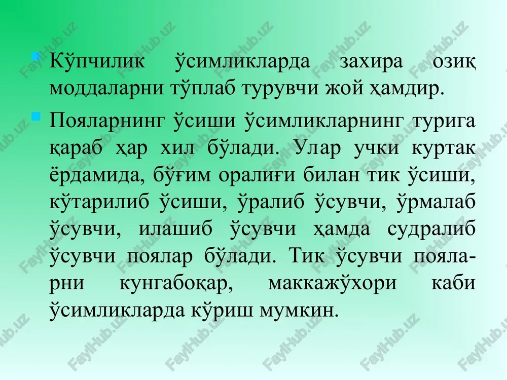 a qadar boradi. bu do'ngliklar orasida xlorenxima joylashgan. xlorenxima ustida og'izcha (labcha) apparati joylashganligini ko'rish qiyin emas. qarigan (pishgan) poyalarda ularning po'sti yog'ochlanganligi tufayli xlorenximali parenxima yo'q va birlamchi po'st aniq ko'rinmaydi. mikroskopning kattalashtirib ko'rsatadigan ob'ektivida kuzatilganda mexanik to'qimalarga yopiq kollateral o'tkazuvchi nay bog'lamlari yondosh holda joylashganligini kuzatish mumkin. markazga yaqin ancha katta nay bog'lamlari joylashgan va ularni sklerenxima o'rab turadi. nay bog'lamlari orasida katta hujayrali parenxima joylashgan. poya markazida o'zak saqlanmagan. o'sish paytida ularning hujayralari yorilib, bo'shliq hosil bo'ladi. shuning uchun ham bu ularda gulsafsarga nisbatan o'tkazuvchi nay bog'lamlari kam. ular shaxmat shaklida ikki, ayrim hollarda uch qator bo'lib joylashadi. kuzatilganlarni surati chiziladi. ikki pallali o'tsimon o'simlik poyasining mikroskopik tuzilishi ikki pallali o'tsimon o'simliklarda kambiy qatlami mavjud bo'lib, uning shakllanishi turlicha bo'ladi. ayrim o'simliklarda u birlamchi ksilema va floemaning erta paydo bo'lishi bilan prokambiy xalqasidan vujudga keladi. boshqa o'simliklarda kambiy qatlamlari yoki shakllanib bo'lgan o'tkazuvchi nay bog'lamlari orasida vujudga …