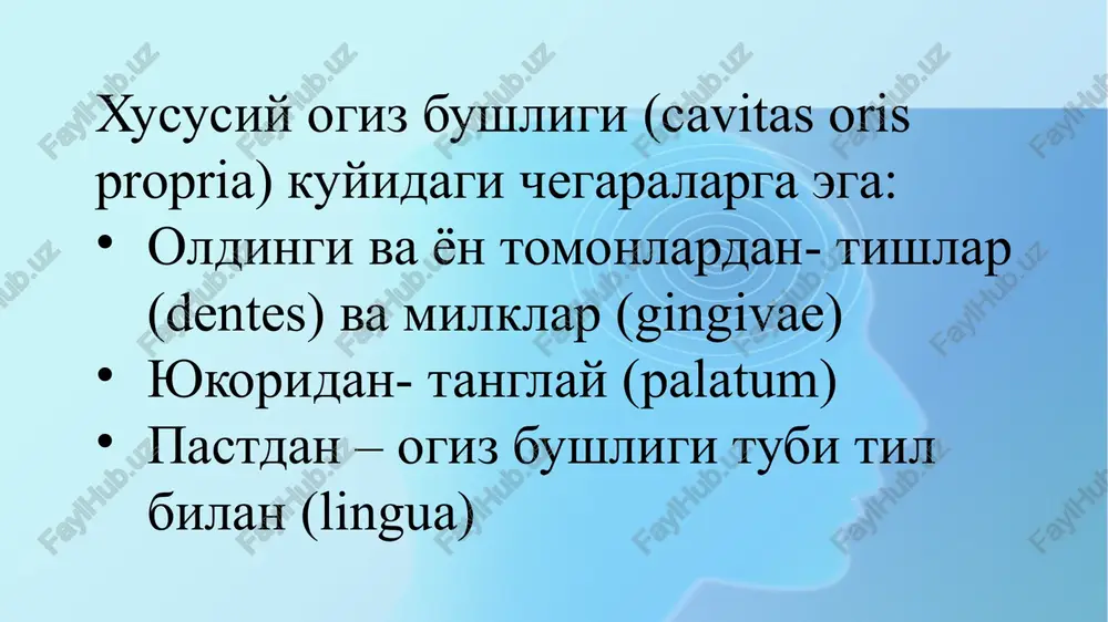 og'izning topografik anatomiyasi - Page 5