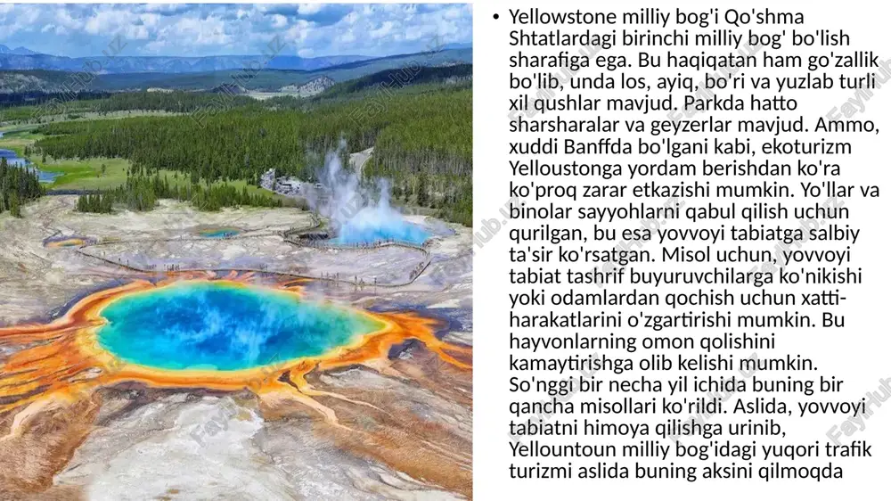 yellowstone milliy bog'i - Page 5