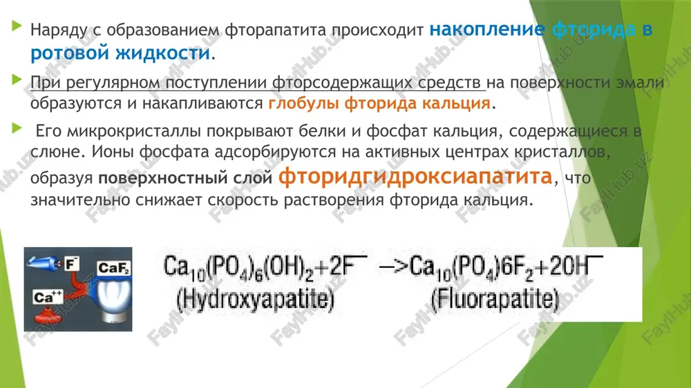 v sostav preparata «vitaftor» vxodyat ftorid i kompleks vitaminov. naibolee virajenniy profilakticheskiy effekt nablyudayut pri nachale priema preparata do dostijeniya rebyonkom vozrasta 2 let. priem ftoridsoderjashix tabletok i kapel rezultativen v organizovannix detskix kollektivax (detskie sadi, shkoli).klinicheskaya effektivnost etogo metoda sostavlyaet 65% u detey s vremennimi zubami i 40% — s postoyannimi. mestnie metodi primeneniya ftoridov. razlichayut mestnie ftoridsoderjashie profilakticheskie sredstva dlya samostoyatelnogo (zubnie pasti, rastvori dlya poloskaniya) i professionalnogo (laki, rastvori i geli dlya applikatsiy) primeneniya. zubnie pasti. samoe rasprostranyonnoe lechebno-profilakticheskoe sredstvo — ftoridsoderjashie zubnie pasti, kotorie sostavlyayut 95% vsex proizvodimix zubnix past. soderjanie ftorida v pastax dlya detey i vzroslix razlichno. v kachestve protivokarioznix dobavok v sostav zubnix past vvodyat ftoridi natriya i alyuminiya, monoftorfosfat, podkislenniy fosfatami ftoristiy natriy, a takje organicheskie soedineniya ftora (aminoftoridi). ftoridsoderjashie zubnie pasti razrabativayut takim obrazom, chtobi aktivniy (nesvyazanniy) ion ftora v protsesse proizvodstva i xraneniya ne inaktivirovalsya, chto i opredelyaet profilakticheskie svoystva …