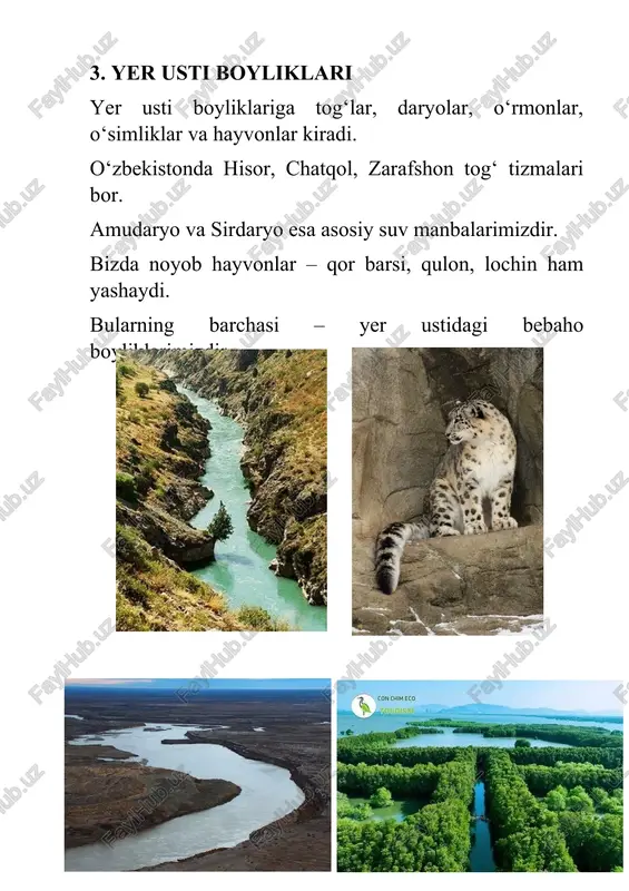 tabiiy boyliklar loyixa ishi - Page 5
