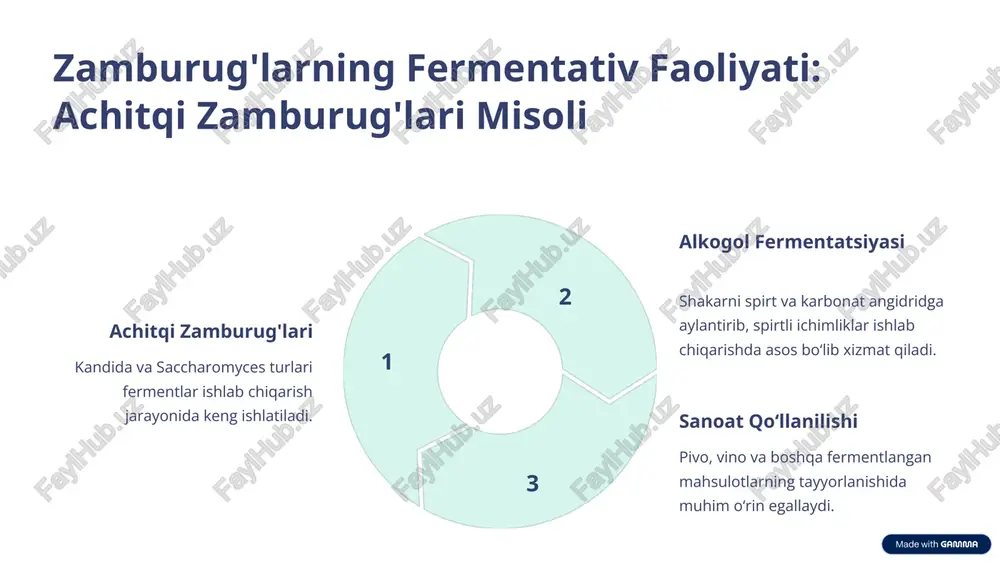 fermentlar ajratishda ishtirok etuvchi mikroorganizmlar - Page 5