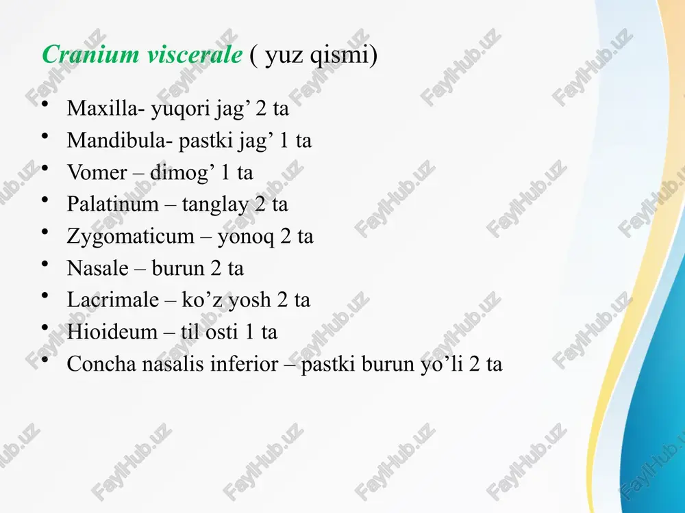 oyiga qarab cellula ethmoidalis 3ga b’linadi: cellula ethmoidalis anterior, media, posterior. cranium viscerale - yuz qismi maxilla- yuqori jag’ 2 ta mandibula- pastki jag’ 1 ta vomer – dimog’ 1 ta palatinum – tanglay 2 ta zygomaticum – yonoq 2 ta nasale – burun 2 ta lacrimale – ko’z yosh 2 ta hioideum – til osti 1 ta concha nasalis inferior – pastki burun yo’li 2 ta yuqori jag’ - os maxilla g’ovak suyak hisoblanib, tarkibida havo saqlaydigan suyaklar tarkibiga kiradi( gaymor bo’shlig`i). ko’z kosasi, burun va og’iz bo’shliqlarini hosil qilish da qatnashadi. 4 ta o’sig’i bor: pocessus frontalis processus palatinus processus zygomaticus processus alveolaris 4 ta yuzasi bor: facies anterior facies orbitalis facies infratemporalis facies nasalis facies anterior margo infraorbitalis bilan chegaralangan incisura nasalis spina nasalis anterior foramen infraorbitale( yuzga nerv va qon tomirlar chiqadi) fossa canina(it chuqurchasi ya’ni kuldirgich) juga alveolaris facies infratemporalis tuber maxillae sulcus palatinus major …