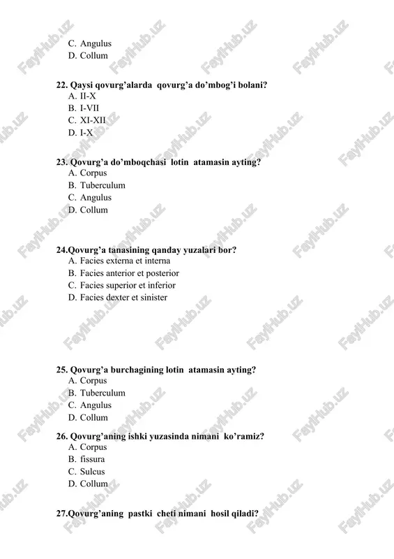 esiya plastinka shaklida s kvadrat plastinka shaklida d bugilgan plastinka shaklida 68. qovurg’alarning bo’yin yuzalari qay erda bo’ladi? a . qovurg’alarning’ orqa qisimida b. qovurg’alarning oldingi qismida s . qovurg’alarning bo’yin qismida d qovurg’alarning bosh qisimida 69 qovurg’alarning necha yuzalari boladi. a 4 b 3 s 6 d. 2 70. qovurg’a oraliq nerv va qon tomir qovurg’aning qayerida joylashgan? a. qovurg’a do’nligida b . qovurg’a qirinda s . qovurg’a pastki qismida d qovurg’a egatchasida 71. qaysi suyakda oldingi zangisimon mushak joylashgan? a) o’mrov suyagi b) ii qovurg’a; c) iv bo’yin umirtqasining tanasida d) i qovurg’ada 72. qaysi qovurg’ada burchagi do’mboq bilan to’g’ri keladi? a) i b) xi; c) xii; d) x. 73. kursatilgan qaysi qovurg’alarda boshinda qiri , qovurg’a burchagi qovurg’a do’mbog’i bo’lmaydi a) i qovurg’ada b) viii qovurg’ada c) x qovurg’ada d) xii qovurg’ada 74. i qovurg’aning yuzalari qanday sathda yotadi a) frontal b) sagital c) gorizontal d) bertikal. …