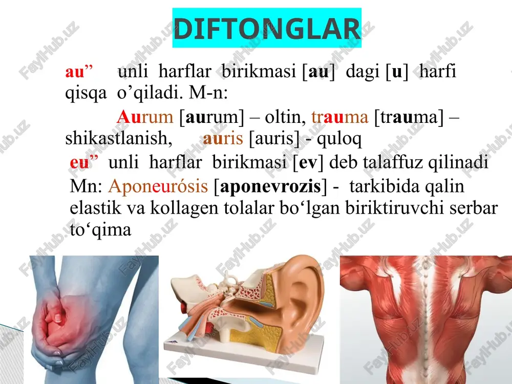 cytus, ductus, processus, rectum, facies, tinctura, caecum, cella, calvaria, decoctum, cerebellum, causticus, ventriculus, medicinalis, columna, scapula, abducens, abductor, acidum, aceticum, bacca, bacterium, cancer, cartilago, cutis, cystis, elasticus, fascia, hepaticus, lac, medicamentum, mucilago, narcosis, oculus, pancreas, rectalis, scabies, succus, urtica, vaccinum o`tilgan mavzuni takrorlash. quyidagi atamalarda c harfining o’qilishini tushuntiring. 1. diftonglar va unli harflarning talaffuz qilinishiga e’tibor qilib, ovoz chiqarib o’qing. anaemia, amarus, auris, bacca, bacterium, caecum, cito, cutis, dens, decoctum, emulsum, falx, gaster, haema, internus, intercain, juniperus, lobules, medulla, nasus, oedema, papilla, rubor, scabies, scapula, sutura, suceus, tabuletta, tuberculum, ureter, uterus, vagina. 2. quyidagi atamalarni o’qing va ti, qu, ngu, su harf birikmalari talaffuziga e’tibor bering. angulus, pinguis, essentia, lingua, suasor, articulatio, costio, operatio, equisetum, sanguisorba, unguentum, liquiritia, unquis, aqua, quadriceps, suavis, suinsulinum, ostium, mixtio, longus, acqualis, quercus, sanguis, squama, combustion , injectio, substantia, solutio, liquor, sublingualis. acromion- akromion fissura-yoriq articulatio- bo’g’im forāmen-teshik brachium-yelka fossa- chuqurcha canalis-kanal fovea-chuqurcha clavicula-o’mrov …