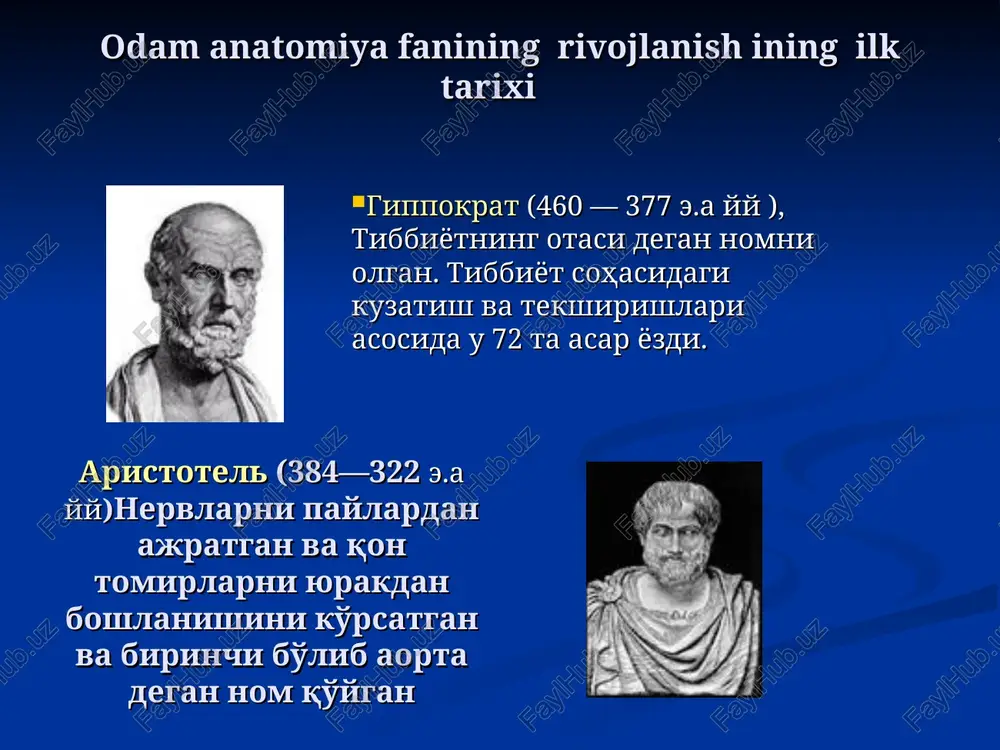 inferior; 8-linea tenninalis; 9-acetabuium; 10-crista pubica; 11-foramen obturatum; 12-tuberculum pubicum; 13-angultis subpubicus; 14-ramus inferior ossis pubis; 15-ramus ossis ischii; 16-tuber ischiadicum; 17-corpus ossis ischii; 18-spina ischiadi-ca; 19-ramus superior ossis pubis; 20-corpus ossis pubis; 21-facies pelvica. os coxae. vnutrennyaya poverxnost. 1-crista iliaca; 2-ala ossis ilii (fossa iliaca); 3-linea arcuata; 4-facies auricularis; 5-tubcrositas iliaca; 6-spina iliaca posterior superior; 7-spina iliaca posterior inferior; 8-incisura ischiadica major; 9-spina ischiadica; 10-incisura ischiadica minor; ll-corpus ossis ischii; 12-tuber ischiadicum; 13-ramus ossis ischii; 14-ramus inferior ossis pubis; 15-foramen obturatum; 16-facies symphysialis; 17-crista pubica; 18-spina iliaca anterior inferior; 19-spina iliaca anterior superior.. femur. a: 1-trochanter major; 2-fossa trochanterica; 3-caput ossis femoris; 4-collum ossis femoris; 5-linea intertrochanterica; 6-trochanter minor; 7-corpus ossis femoris; 8-epicondylus medialis; 9-condylus medialis; 10-facies patellaris; 11-condylus lateralis; 12-epicondylus lateralis. b: l-tbvea capilis ossis femoris; 2-caput ossis femoris; 3-collum ossis femoris; 4-trochanter major; 5-tuberositas glutea; 6-labium latcrale lineae asperae; 7-corpus ossis femoris; 8-facies poplitea; 9-epicondylus lateralis; 10-condylus …