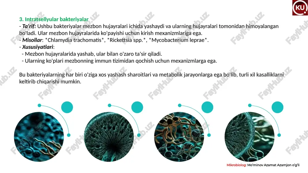 mikroorganizmlarning strukturasi - Page 5