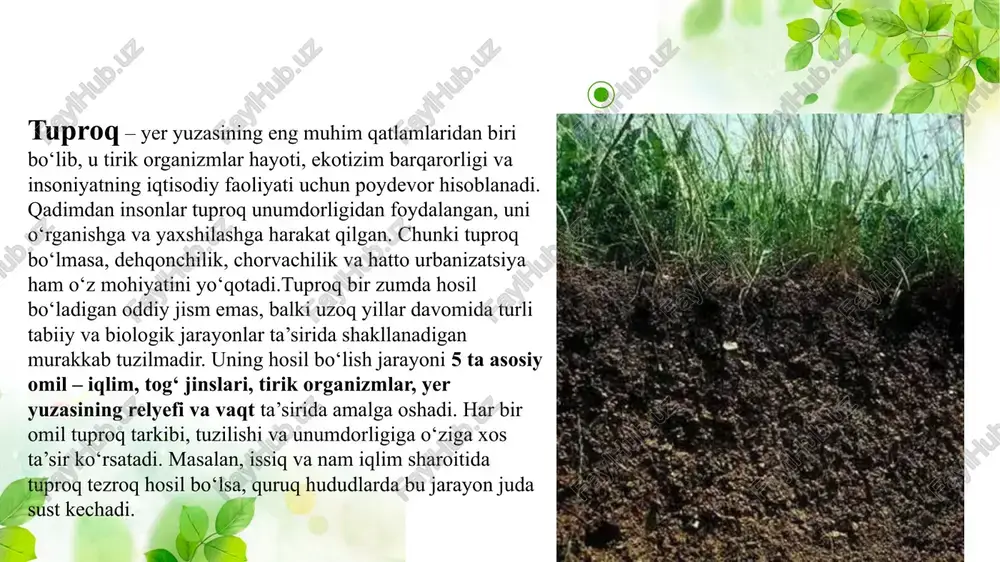 aqlaydi. shunday qilib, tuproq bu birikmalarning tabiiy suvlarga, o'simliklarga va keyinchalik oziq moddalar zanjiri bo'ylab hayvon organizmlari va odamlarga kirib borishini oldini oluvchi filtr vazifasini o'taydi. biroq, tuproqning bu boradagi imkoniyatlari cheksiz emas va texnogen ifloslanish darajasi tobora ortib bormoqda, shuning uchun odamlarning zaharlanish hollari tobora ko'paymoqda. og'ir metallar tanaga kiritilganda jigar, buyrak, yurak funktsiyalari buzilishi, kamqonlik, xotira buzilishi, eshitish qobiliyati, oshqozon yarasi jarayonlari. tuproqqa kiradigan radioaktiv moddalar katta xavf tug'diradi. ular tuproq qoplamasida to'planish imkoniyatiga ega. tuproqqa kiradigan radioaktiv moddalar manbai radioaktiv yog'ingarchiliklar, atom energetikasi reaktorlari chiqindilari bo'lishi mumkin. eng xavfli radioizotoplar - stronsiy-90 va sezyum-137. ushbu moddalar juda uzoq yarim umrga ega. radioaktiv moddalar oziq-ovqat zanjiriga kiritilishi mumkin, shu bilan birga tirik organizmlarga ta'sir qiladi. organizmlarga har ikkala individual zarar etkazilishi mumkin – morfologik va anatomik neoplazmalar rivojlanishi hamda genetik, kelajak avlodlar uchun katta xavf tug'diradi. tuproq mikroorganizmlarning rivojlanishi uchun qulay muhitdir. bu uning epidemiologik ahamiyati va tuproq …