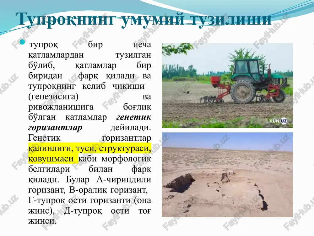 , uning hosil bo'lishi va tarkibi tuproqning organik qismi yil sayin tuproqda to'planayotgan o'simlik, mikroorganizm va hayvonot qoldiqlaridan iborat. to'plangan bu organik qoldiqlar mikroorganizmlar tomonidan parchalanadi va murakkab tuzilishga ega bo'lgan organik birikmalarga aylanadi. tuproqda chirindi hosil bo'lishida ikki xil protsess mineralizatsiya va gumufikatsiya protsesslari ro'y beradi. mineralizatsiya- protsessida organik qoldiqlar oddiy birikmalarga va qisman to'la menirallashgan mahsulotlarga (so2, no2, no3, nh3 , ch4 , h2o va boshqalarga) parchalanadi. gumifikatsiya – parchalanayotgan organik qoldiqlardan yuqori molekulyar chirindi moddalari, ya'ni gumus hosil bo'lishidir. chirindi (gumus) tuproq paydo bo'lishida va tuproqning unumdorligini oshirishda katta ahamiyatga ega. u o'simliklarning oziqlanishi uchun zarur bo'lgan elementlarni ( azot, karbonat angidrit) manba hisoblanadi. tuproqning fizikaviy, kimyoviy va biokimyoviy xossalarni, issiqlik va suv rejimini yaxshilaydi. tuproq kalloidlari tuproq paydo bo'lishi protsessida turli katta-kichiklikdagi zarrachalar to'planib boradi. bu zarrachalardan eng maydalari kalloidlar(diametri 0,2 mikrondan 0,001mikron bo'lib, u tuproq tarkibi va xossalarini o'zgarishiga katta ta'sir ko'rsatadi. tuproq kalloidlari 2 …