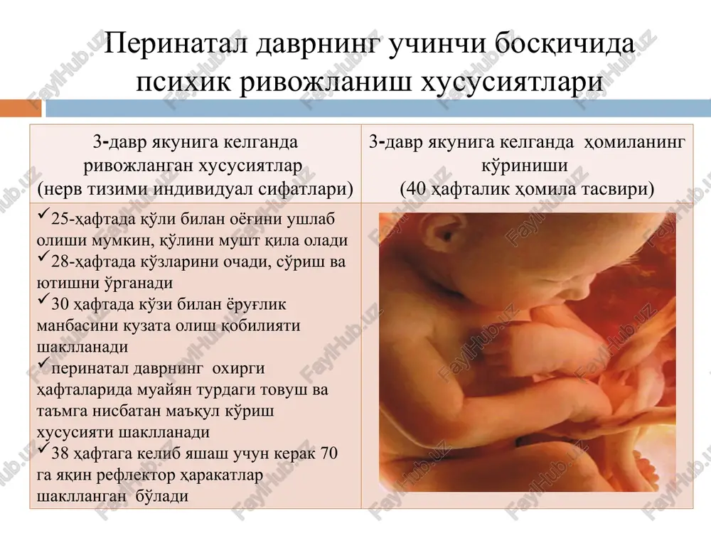 perinatal va chaqaloqlik davrlarida psixofiziologik xususiyatlar - Page 5