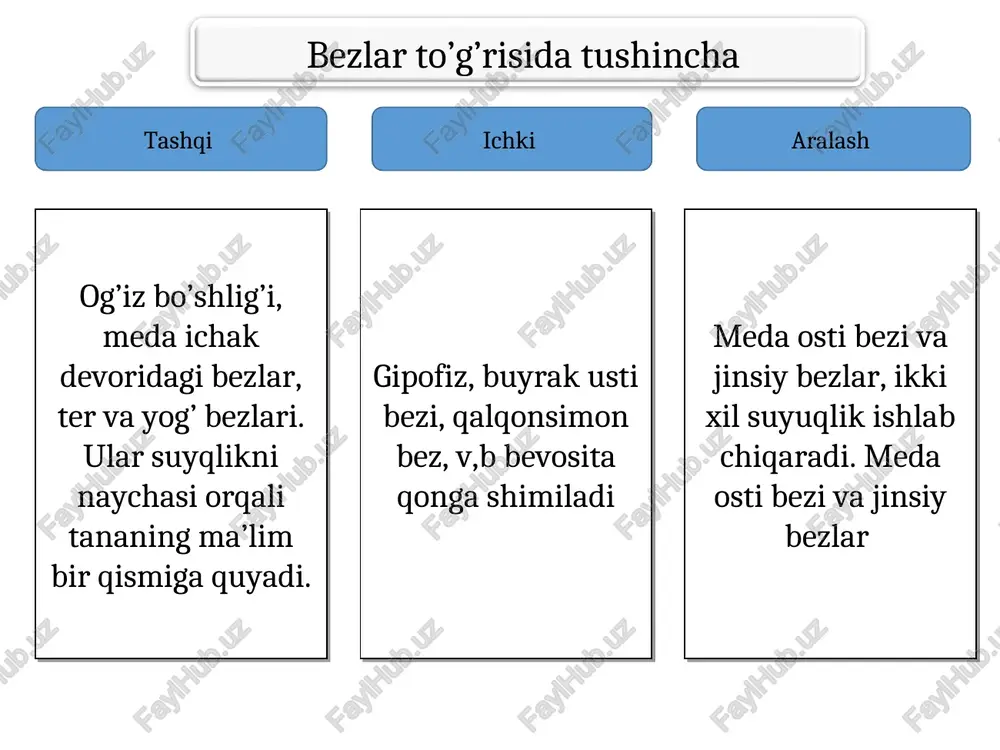 diafragmaga o’tish joyida meda-hazm kanalining eng kangaygan qismi qorin bo’sh’lig’ini yuqori qismida joylashgan. koproq qismi cha qovurg’a ostida joylashadi. noksimon. medaning oldingi va orqa devorlari b/b yuqorida kichk pasda katta egriliklar joylashgan. kirsh-cardiya 11 ko’krak qarshisda turadi. chiqsh qismi 1-bel umrtqasi roparasida 12 barmoqqa qo’shilib ketadi. chiqsh qismi o’zi 2 ga ajralgan, 1-boshlanishi g’orcha deyilsa davomi kanal bo’lagi deyiladi. yuqorida-jigar, chap bo’lagida diafragma gumbazi, pastki kondalang chambar ichak. oldingi devori qorin devoriga. orqa devori meda osti bezi, chap buyrakka qisman taloqqa tegib turadi. meda devori seroz parda, seroz osti qavati, muskul qavat, shillq shillq qavat, shilliq osti qavatdan tuzulgan. muskul qavat 3 yo’nalishda. 1-tashqi uzn, 2-o’rta halqasimon, 3-ichki qiyshq joylashgan. halqasimon chiqvchi qismida qisuvchi (sfinkter) muskulga aylanadi tubi va tanasi joylashgan bezlar xlorid kislata suyuqligini, qolgan bezlar pepsin shlliq suyqlik ishlab chiqaradi. medada ovqat 4-soatdan 10 soatgacha saqlanadi. bu davrda muskullar yordamida mexanik parchalandi. 2 xil qisqarish (tonik perstatik) uzoq …