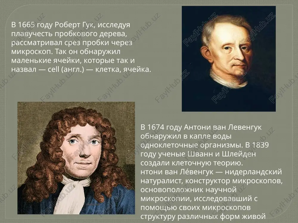 kletka - Page 5