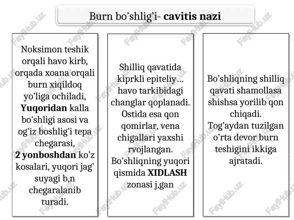 nafas olish azolari - Page 5