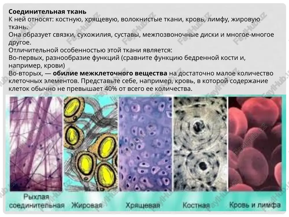 tkani - Page 5